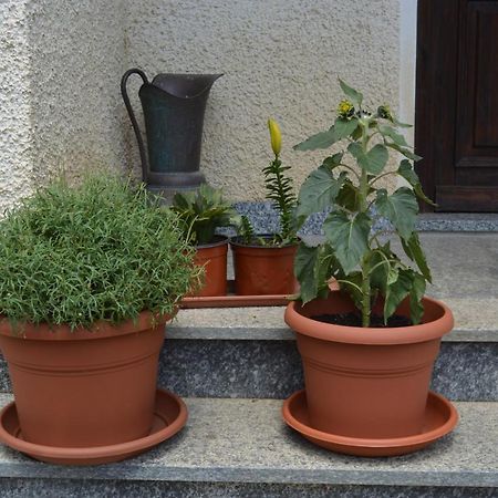 Da Fulvia Bed & Breakfast Ollano Dış mekan fotoğraf