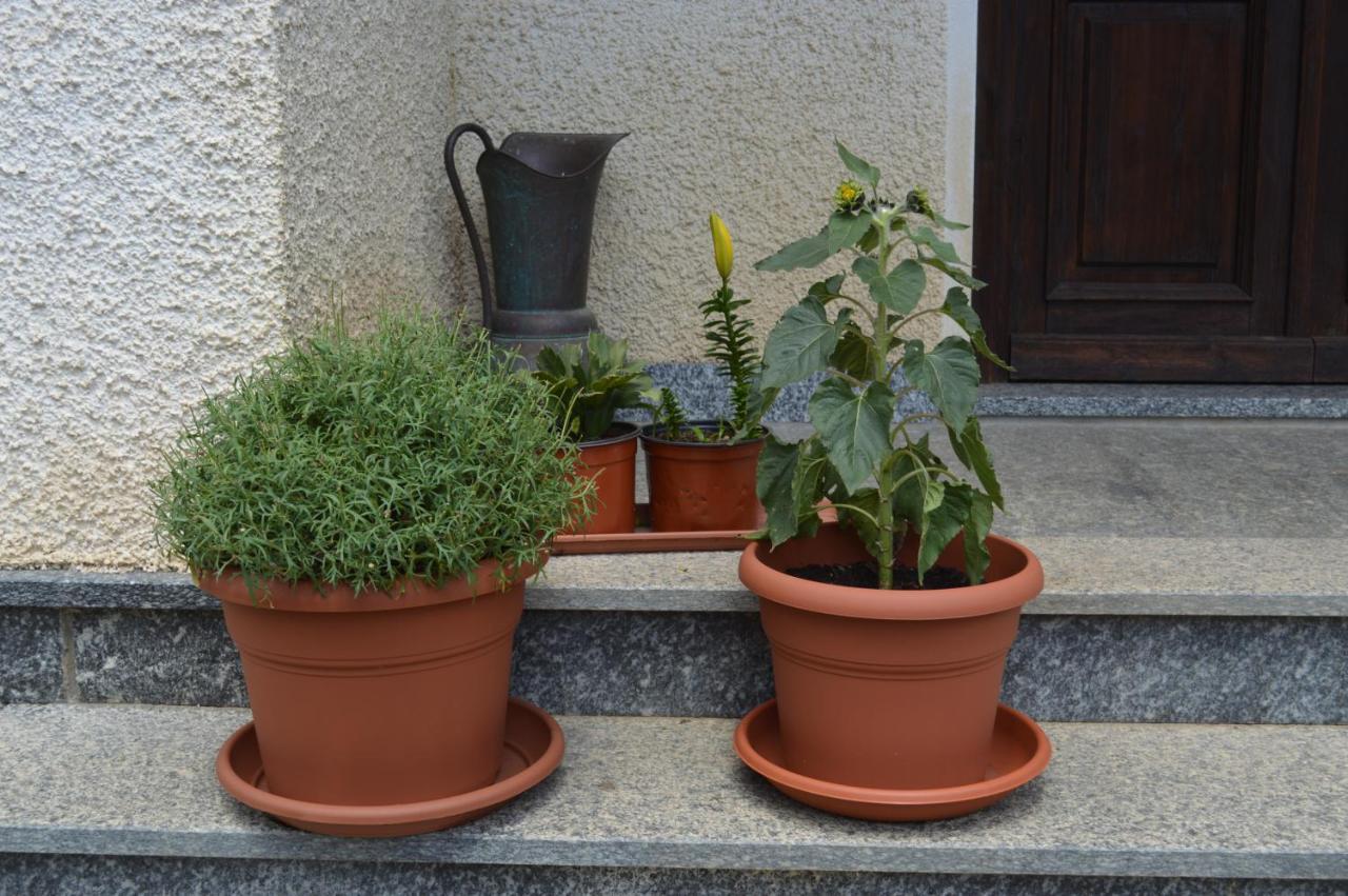 Da Fulvia Bed & Breakfast Ollano Dış mekan fotoğraf